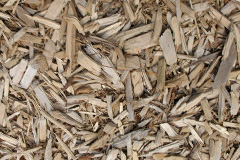 biomass boilers Caerhun