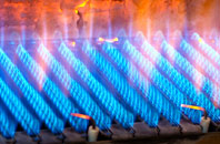 Caerhun gas fired boilers